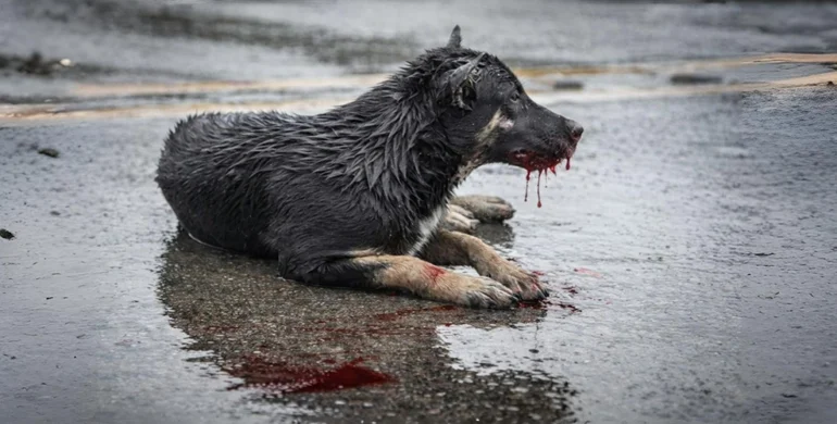 There are many variations of passages of